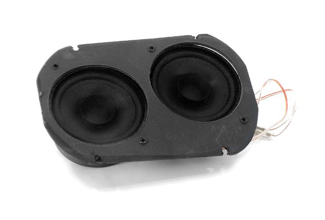 Product image (1953-1960 Front Dual Speakers)